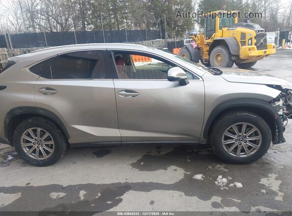 JTJDARDZ2M2237060 2021 LEXUS NX 300 Gray Rear interior view