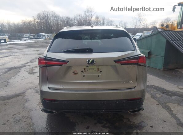 JTJDARDZ2M2237060 2021 LEXUS NX 300 Gray 