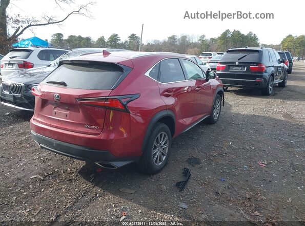 JTJDARDZ4L5018758 2020 LEXUS NX 300 Красный Задняя правая четверть