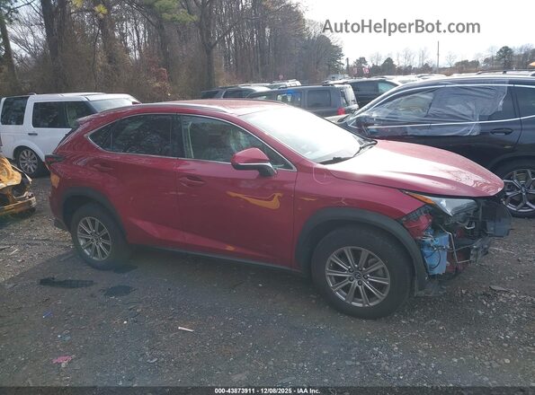 JTJDARDZ4L5018758 2020 LEXUS NX 300 Красный Вид задней части салона