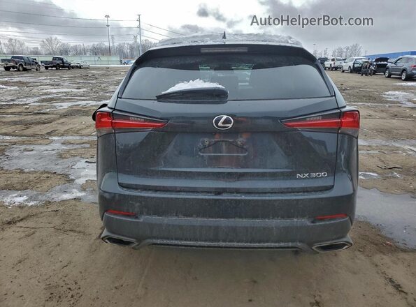 JTJDARDZ4M2236850 2021 LEXUS NX Черный Вид сзади