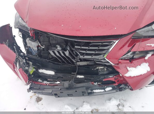 JTJDARDZ6M5020349 2021 LEXUS NX 300 Red Widok z przodu