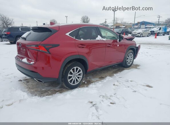 JTJDARDZ6M5020349 2021 LEXUS NX 300 Red Tył prawy