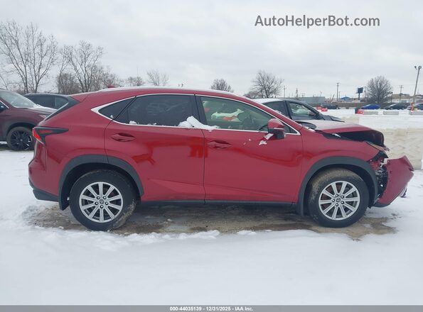 JTJDARDZ6M5020349 2021 LEXUS NX 300 Red Widok wnętrza z tyłu