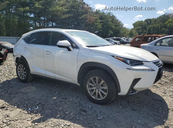 JTJDARDZ7M5025334 2021 LEXUS NX White 