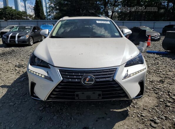 JTJDARDZ7M5025334 2021 LEXUS NX White 
