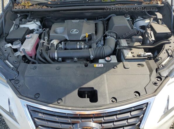 JTJDARDZ7M5025334 2021 LEXUS NX White 