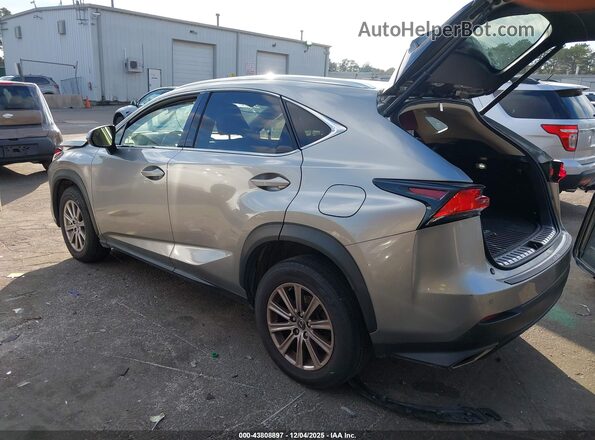 JTJDARDZ8M2239217 2021 LEXUS NX 300 Gray უკანა მარცხენა
