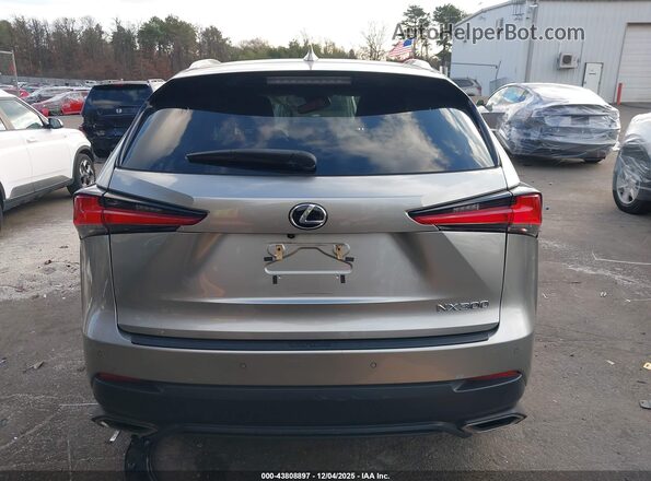 JTJDARDZ8M2239217 2021 LEXUS NX 300 Gray 