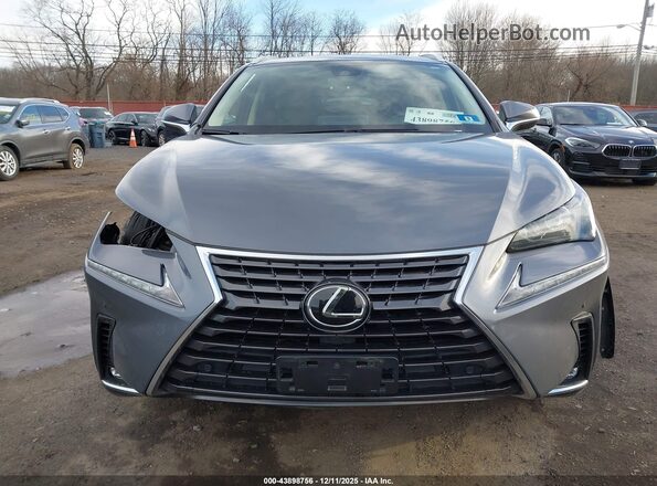 JTJDARDZXM2238134 2021 LEXUS NX 300 Gray 