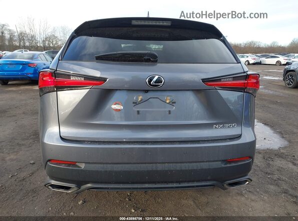 JTJDARDZXM2238134 2021 LEXUS NX 300 Gray 