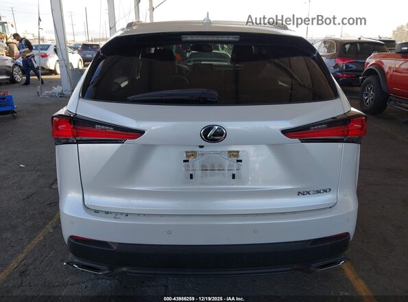 JTJGARBZ0M5029080 2021 LEXUS NX 300 White 