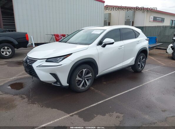 JTJGARBZ1L2163161 2020 LEXUS NX 300 White 