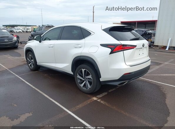 JTJGARBZ1L2163161 2020 LEXUS NX 300 White 