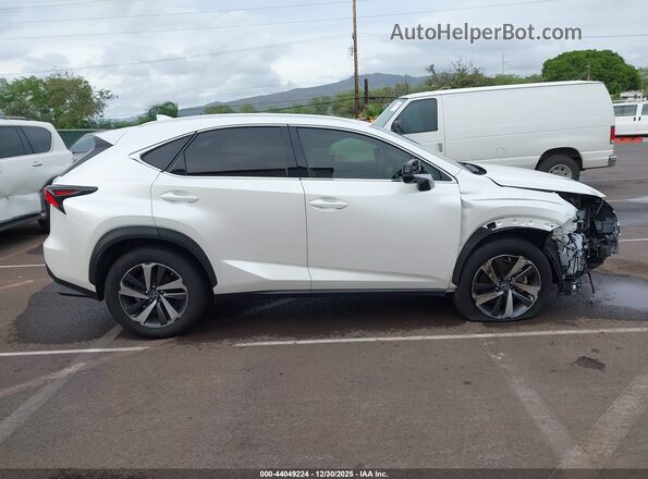 JTJGARBZ1L2163161 2020 LEXUS NX 300 White 