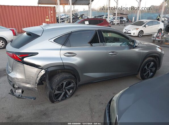 JTJGARBZ2M2201031 2021 LEXUS NX 300 Серый Вид задней части салона