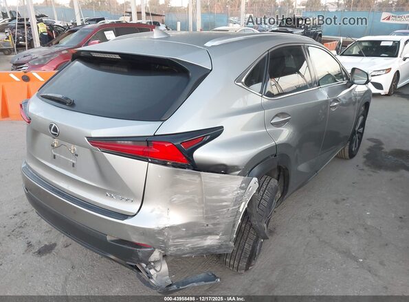 JTJGARBZ2M2201031 2021 LEXUS NX 300 Серый Задняя правая четверть