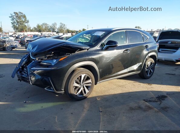JTJGARBZ4M2196270 2021 LEXUS NX 300 Black Vista tres cuartos delantera izquierda