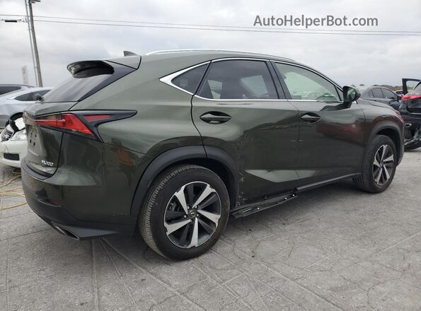 JTJGARDZ1M2243820 2021 LEXUS NX Green Tył prawy