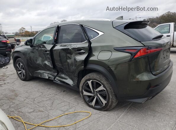 JTJGARDZ1M2243820 2021 LEXUS NX Green Tył lewy