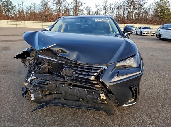 JTJGARDZ1M2258351 2021 LEXUS NX Black Widok z przodu