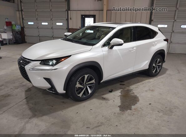 JTJGARDZ1M5025004 2021 LEXUS NX 300 White Vista tres cuartos delantera izquierda