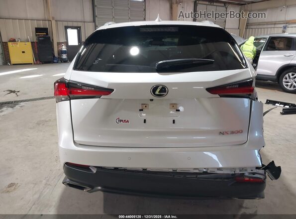 JTJGARDZ1M5025004 2021 LEXUS NX 300 White 