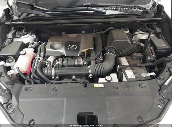 JTJGARDZ1M5025004 2021 LEXUS NX 300 White Vista trasera