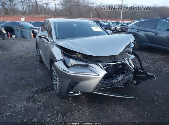 JTJGARDZ2L2223915 2020 LEXUS NX 300 Silver 