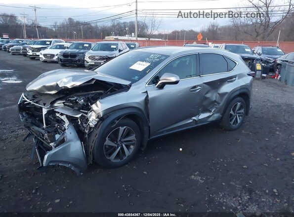 JTJGARDZ2L2223915 2020 LEXUS NX 300 Silver 