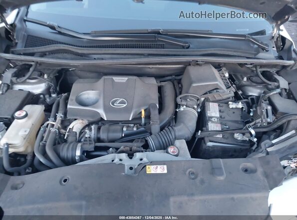 JTJGARDZ2L2223915 2020 LEXUS NX 300 Silver უკანა ხედი