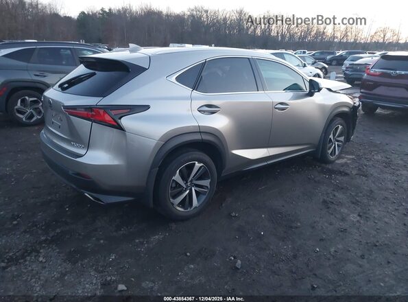 JTJGARDZ2L2223915 2020 LEXUS NX 300 Silver უკანა მარჯვენა