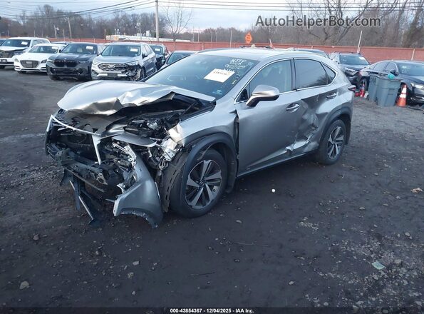 JTJGARDZ2L2223915 2020 LEXUS NX 300 Silver წინა მარცხენა ხედი სამი მეოთხედიდან
