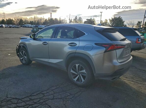 JTJGARDZ4M2250373 2021 LEXUS NX Gray Trasero izquierdo