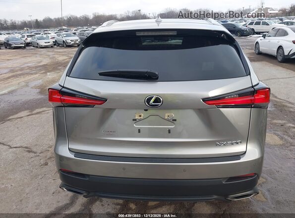 JTJGARDZ4M5029564 2021 LEXUS NX 300 Silver 