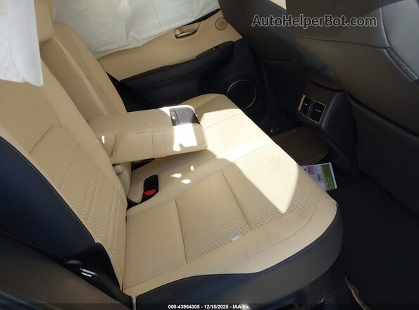 JTJGARDZ5M5031436 2021 LEXUS NX 300 Black VIN კოდის სტიკერის ხედი