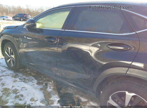 JTJGARDZ5M5031436 2021 LEXUS NX 300 Black სალონის 360-გრადუსიანი ხედი