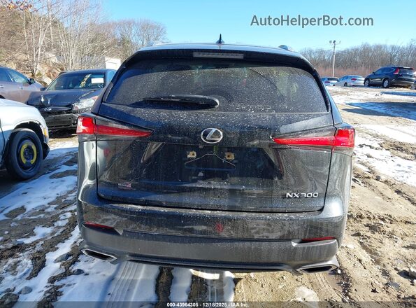 JTJGARDZ5M5031436 2021 LEXUS NX 300 Black 