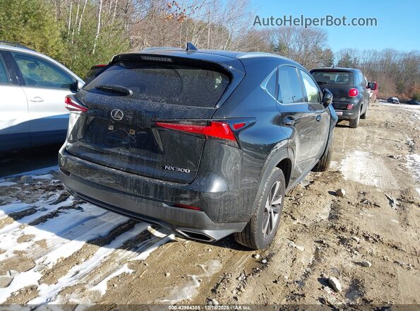 JTJGARDZ5M5031436 2021 LEXUS NX 300 Black უკანა მარჯვენა