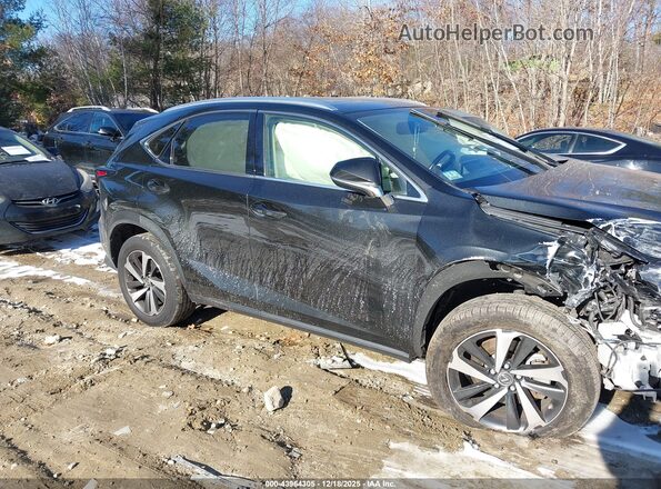 JTJGARDZ5M5031436 2021 LEXUS NX 300 Black უკანა სალონის ხედი