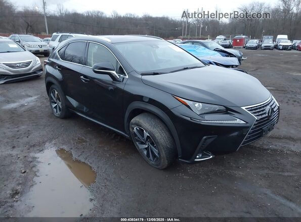 JTJGARDZ7M2242204 2021 LEXUS NX 300 Black 