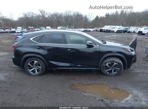 JTJGARDZ7M2242204 2021 LEXUS NX 300 Black Widok wnętrza z tyłu