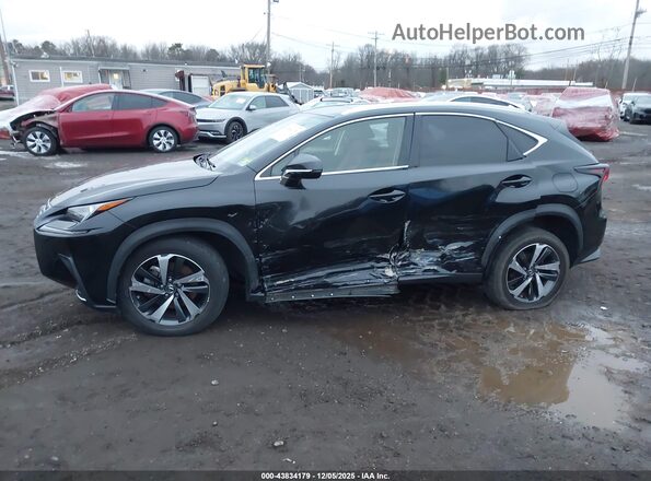 JTJGARDZ7M2242204 2021 LEXUS NX 300 Black Widok z przodu