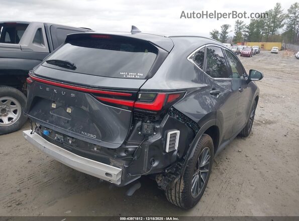 JTJGDCAZ0P5013410 2023 LEXUS NX 250 Gray Tył prawy