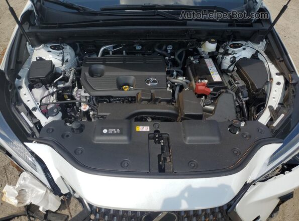 JTJGDCAZXS2018351 2025 LEXUS NX White Вид підкапотного простору