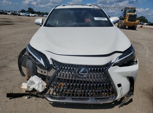 JTJGDCAZXS2018351 2025 LEXUS NX White Вид спереду