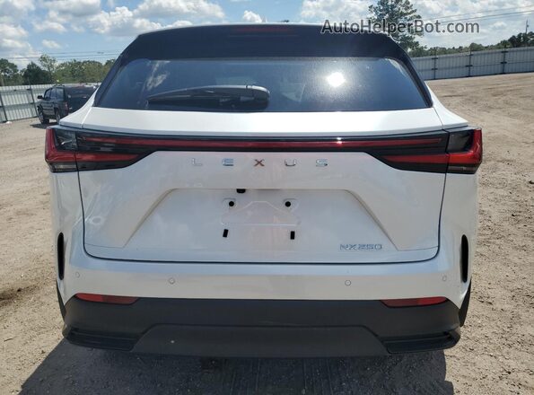 JTJGDCAZXS2018351 2025 LEXUS NX White Вид ззаду
