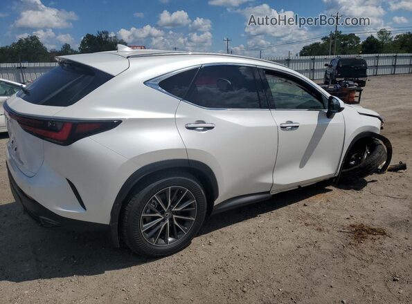 JTJGDCAZXS2018351 2025 LEXUS NX White Задня права чверть