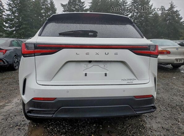 JTJGKCEZ7N5002191 2022 LEXUS NX Белый Вид сзади