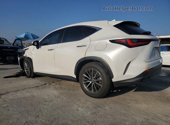 JTJGKCEZ9P2014668 2023 LEXUS NX White Հետևի ձախ